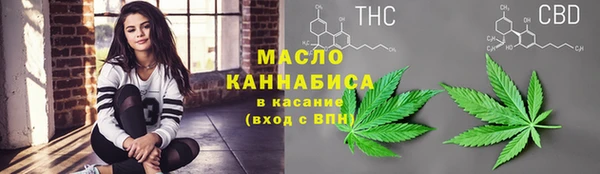 трава Инта