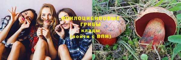 меф Инсар