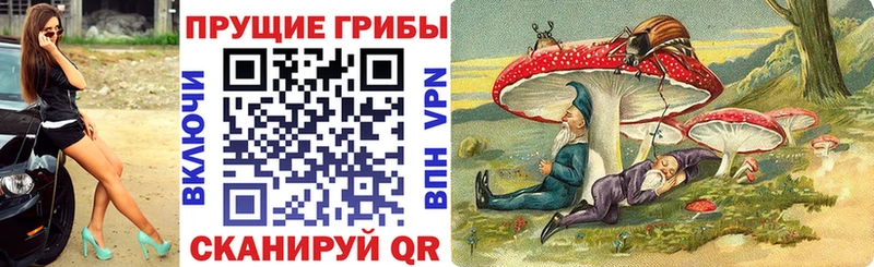 Псилоцибиновые грибы MAGIC MUSHROOMS  Купить закладки  Ишим 